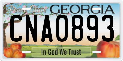 GA license plate CNA0893