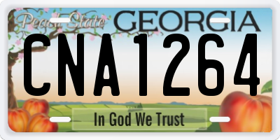 GA license plate CNA1264