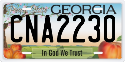 GA license plate CNA2230