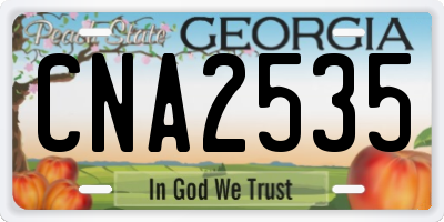 GA license plate CNA2535