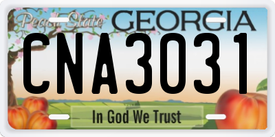 GA license plate CNA3031
