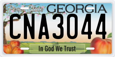 GA license plate CNA3044