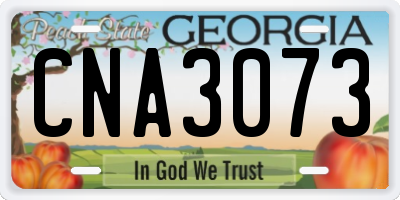 GA license plate CNA3073