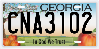 GA license plate CNA3102