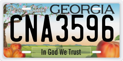 GA license plate CNA3596