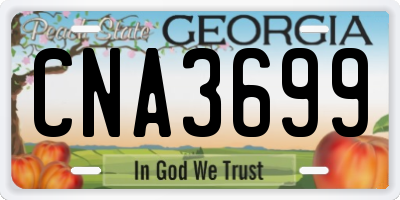 GA license plate CNA3699