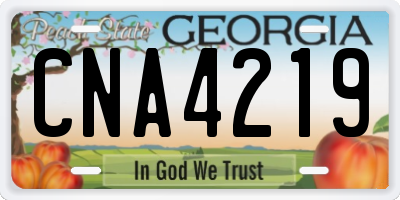 GA license plate CNA4219