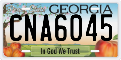 GA license plate CNA6045