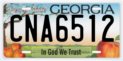 GA license plate CNA6512