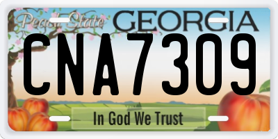GA license plate CNA7309