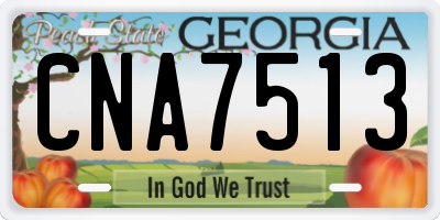 GA license plate CNA7513