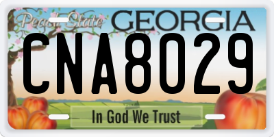 GA license plate CNA8029