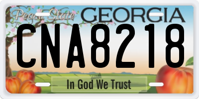 GA license plate CNA8218