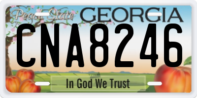 GA license plate CNA8246