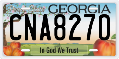 GA license plate CNA8270