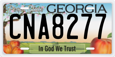 GA license plate CNA8277