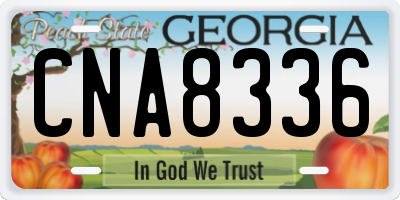 GA license plate CNA8336
