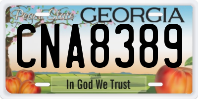 GA license plate CNA8389