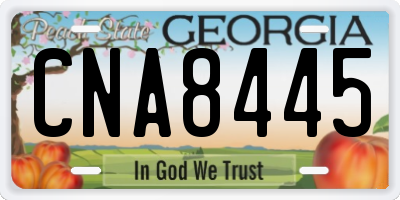 GA license plate CNA8445