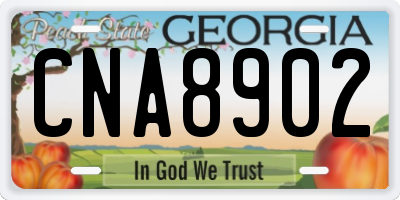 GA license plate CNA8902