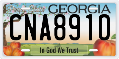 GA license plate CNA8910