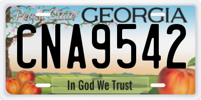 GA license plate CNA9542