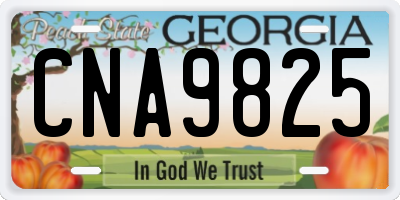 GA license plate CNA9825
