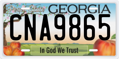 GA license plate CNA9865