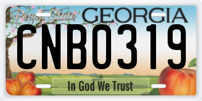 GA license plate CNB0319
