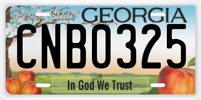 GA license plate CNB0325