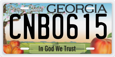 GA license plate CNB0615