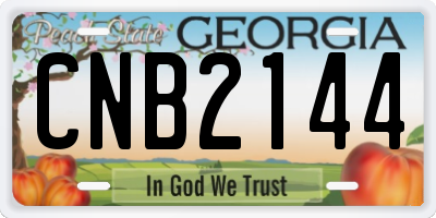 GA license plate CNB2144