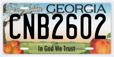 GA license plate CNB2602