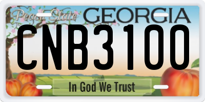 GA license plate CNB3100