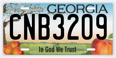 GA license plate CNB3209