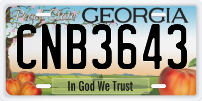 GA license plate CNB3643