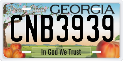 GA license plate CNB3939
