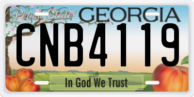 GA license plate CNB4119