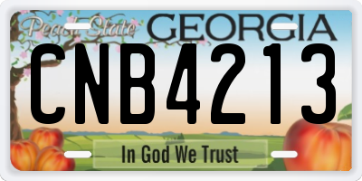 GA license plate CNB4213