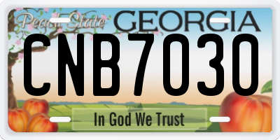 GA license plate CNB7030