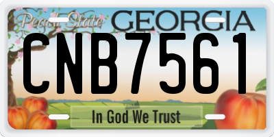 GA license plate CNB7561
