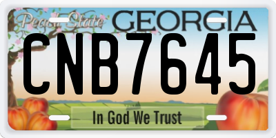 GA license plate CNB7645