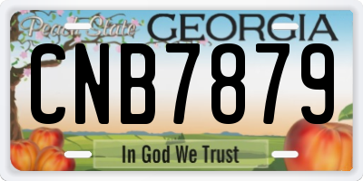 GA license plate CNB7879