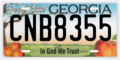 GA license plate CNB8355