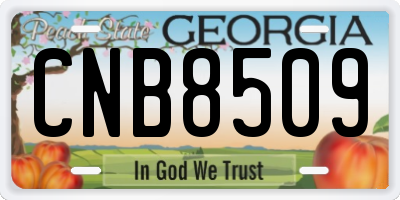 GA license plate CNB8509