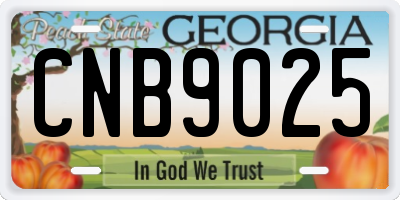 GA license plate CNB9025