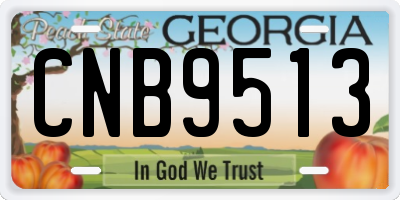 GA license plate CNB9513