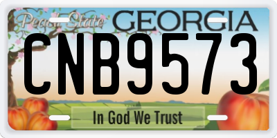 GA license plate CNB9573