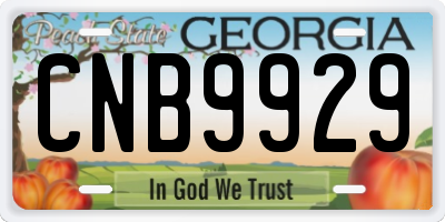 GA license plate CNB9929