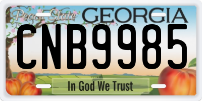 GA license plate CNB9985